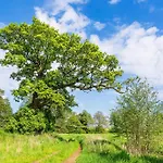 In Usedom - Insel Usedom 2319 Appartamento *