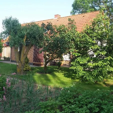 In Usedom - Insel Usedom 2319