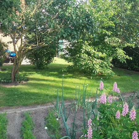 Apartment In Usedom - Insel Usedom 2319 Welzin