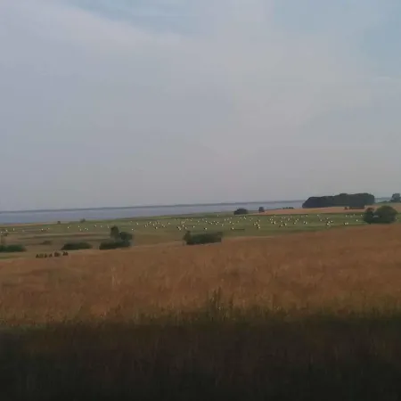 Apartment In Usedom - Insel Usedom 2319 Welzin