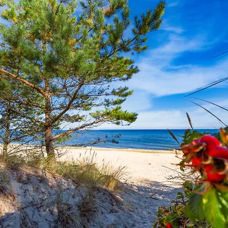 Apartment In Usedom - Insel Usedom 2319